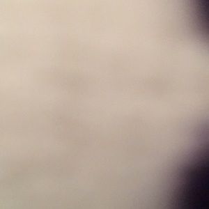 Meet your Posher, Isabella